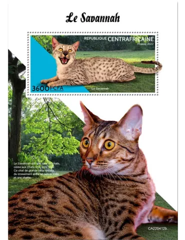 n° 2089 - Timbre CENTRAFRIQUE Blocs et feuillets