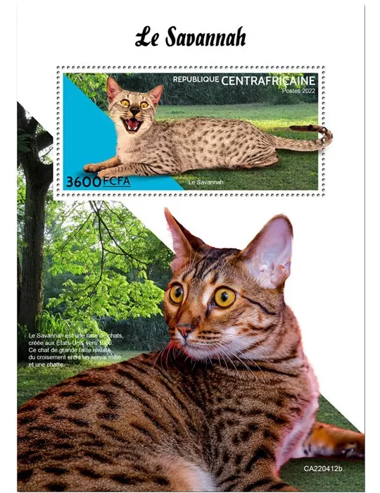 n° 2089 - Timbre CENTRAFRIQUE Blocs et feuillets