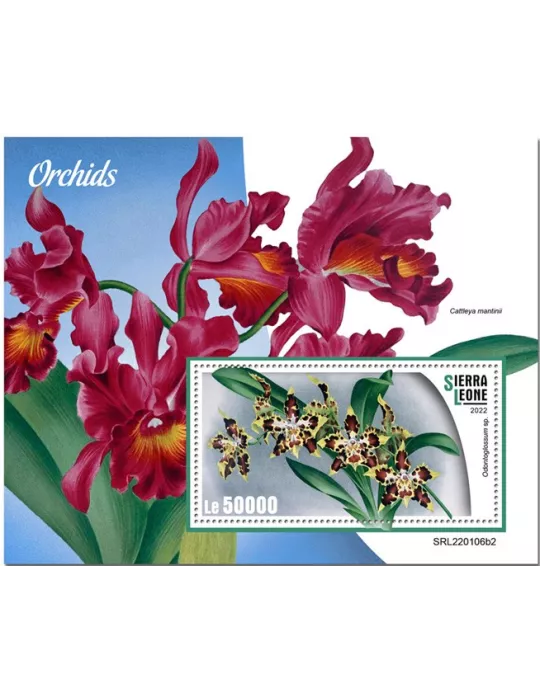 n° 2098 - Timbre SIERRA LEONE Blocs et feuillets