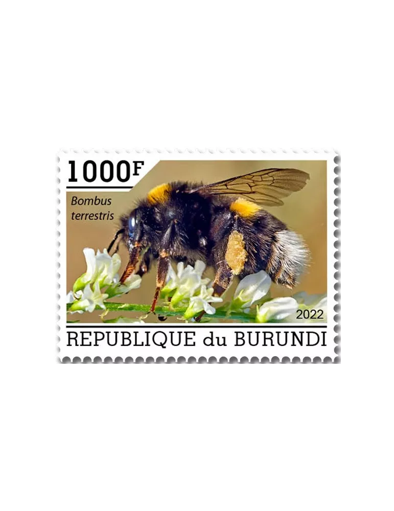 n° 2624/2628 - Timbre BURUNDI Poste