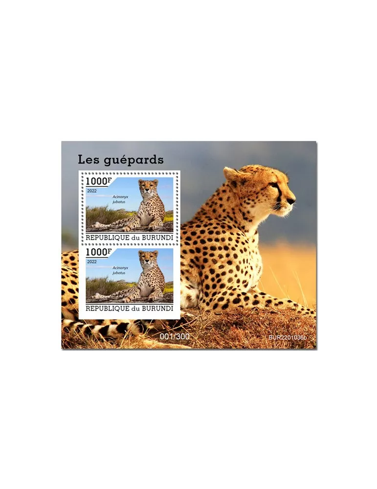 n° 453 - Timbre BURUNDI Blocs et feuillets