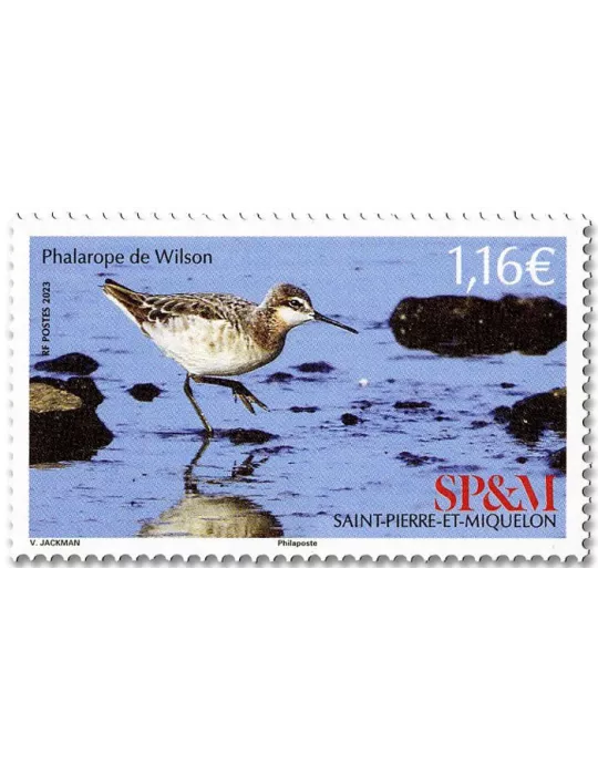 n° 1301 - Timbre Saint-Pierre et Miquelon Poste