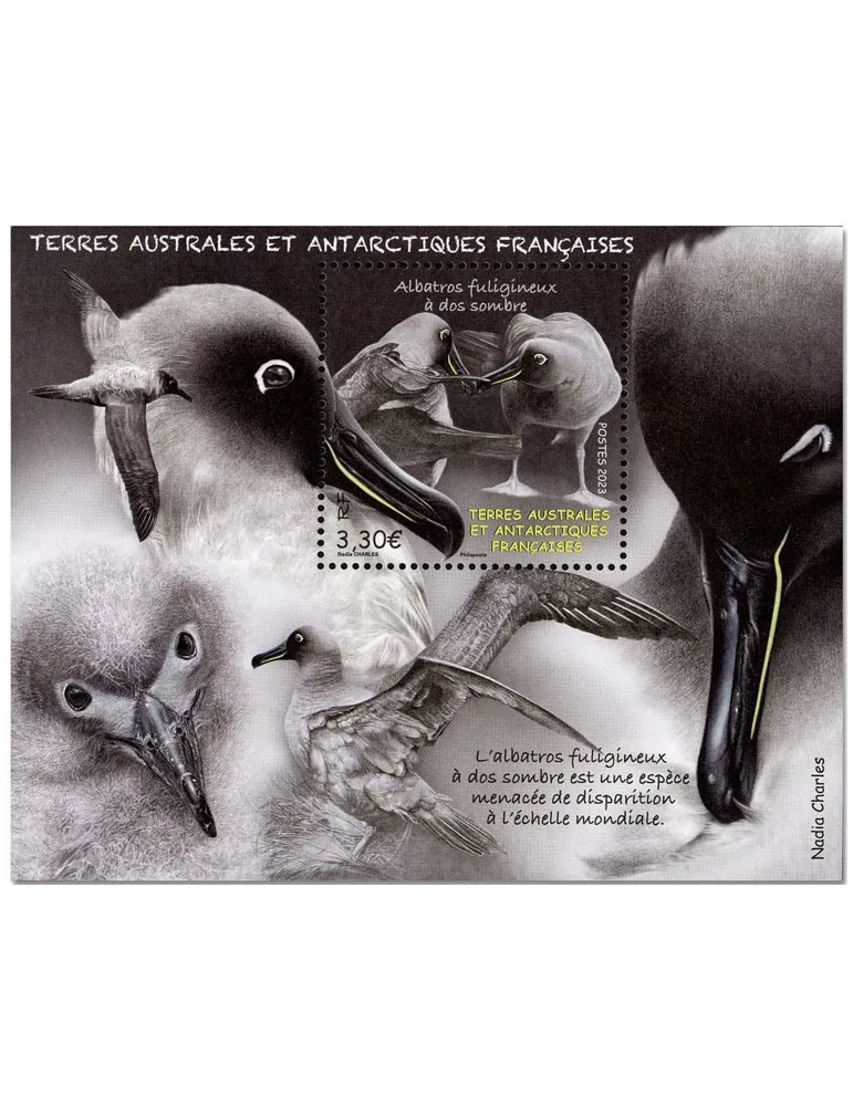 n° F1034 - Timbre TAAF Poste