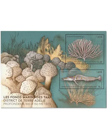 n° F1038 - Timbre TAAF Poste