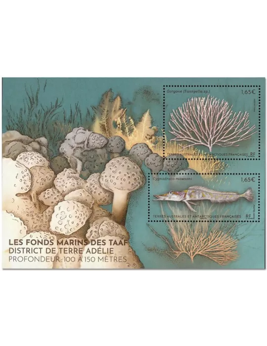 n° F1038 - Timbre TAAF Poste