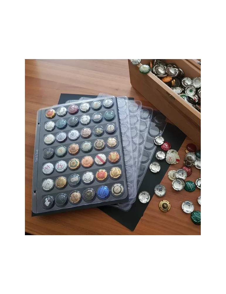Recharges FUTURA Champ´ (pour 42 capsules de Champagne)