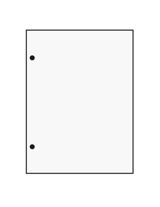 Gaines transparentes FUTURA (x10)