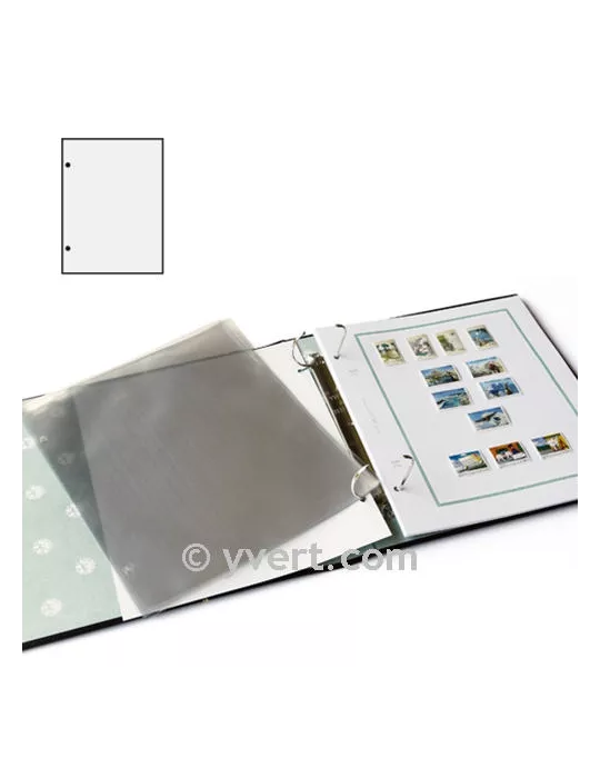 Gaines transparentes FUTURA (x10)