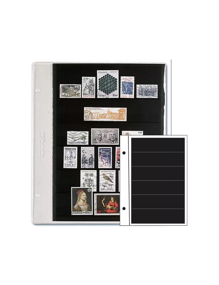 Recharges FUTURA : E40 (x5)