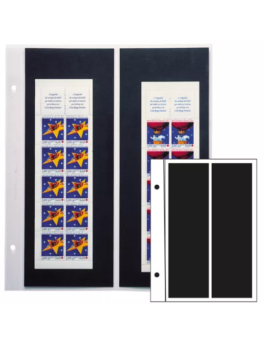 Recharges FUTURA : C20 (x5)