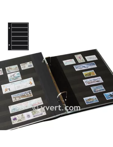 Recharges FUTURA : C80 (x5) 2