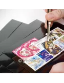 CARTES PLASTIQUES : 1 BANDE (par 100)