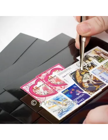 CARTES PLASTIQUES : 2 BANDES (par 100)