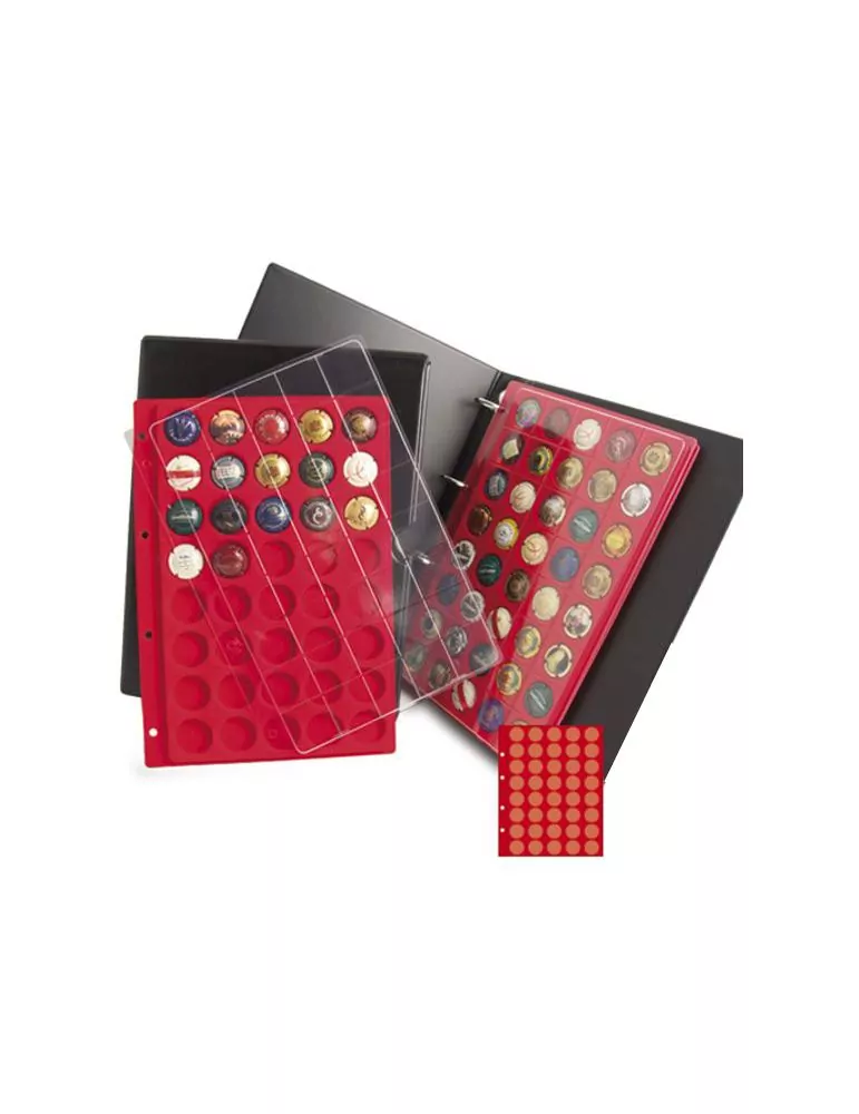 Plateau-recharges INITIA´CHAMP : 40 cases (CHAMPAGNE)