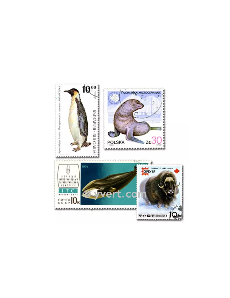 ANIMAUX POLAIRE : pochette de 100 timbres (Oblitérés)