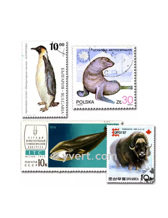 ANIMAUX POLAIRE : pochette de 100 timbres (Oblitérés)