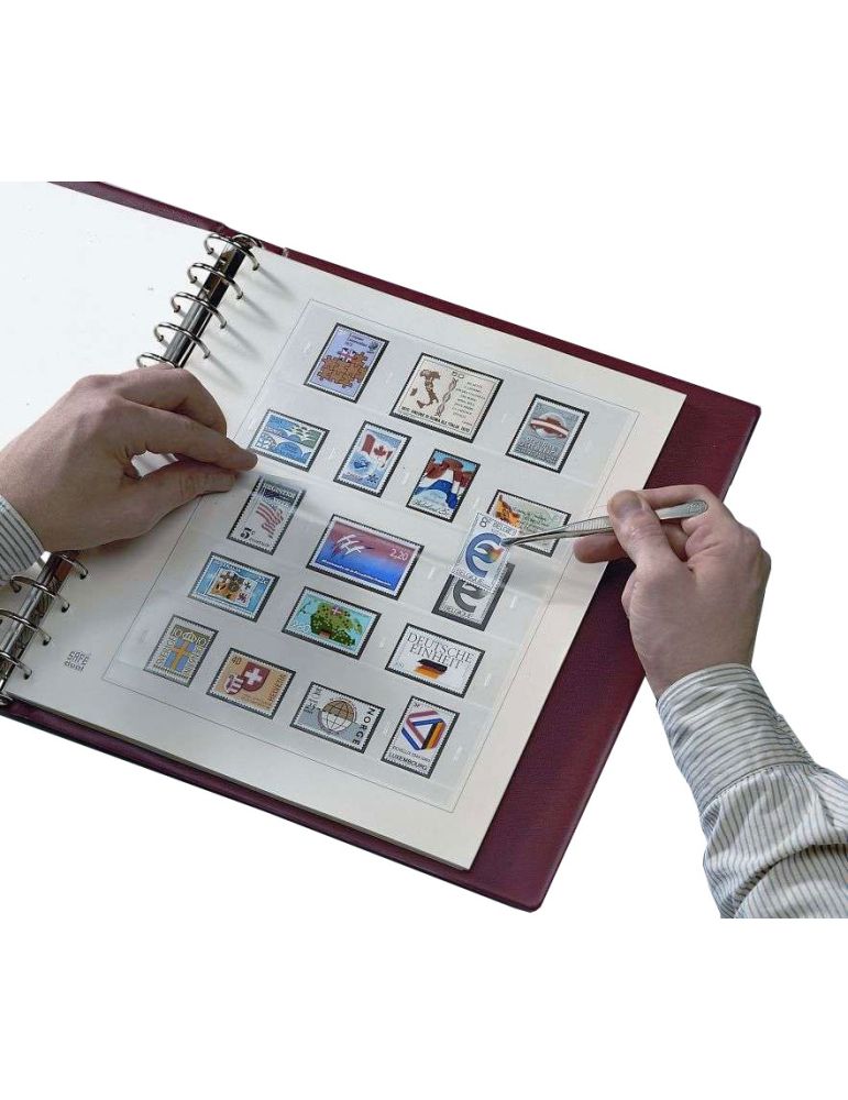 FRANCE SAFE DUAL : 2005-2007 (2137-5) - SAFE®
