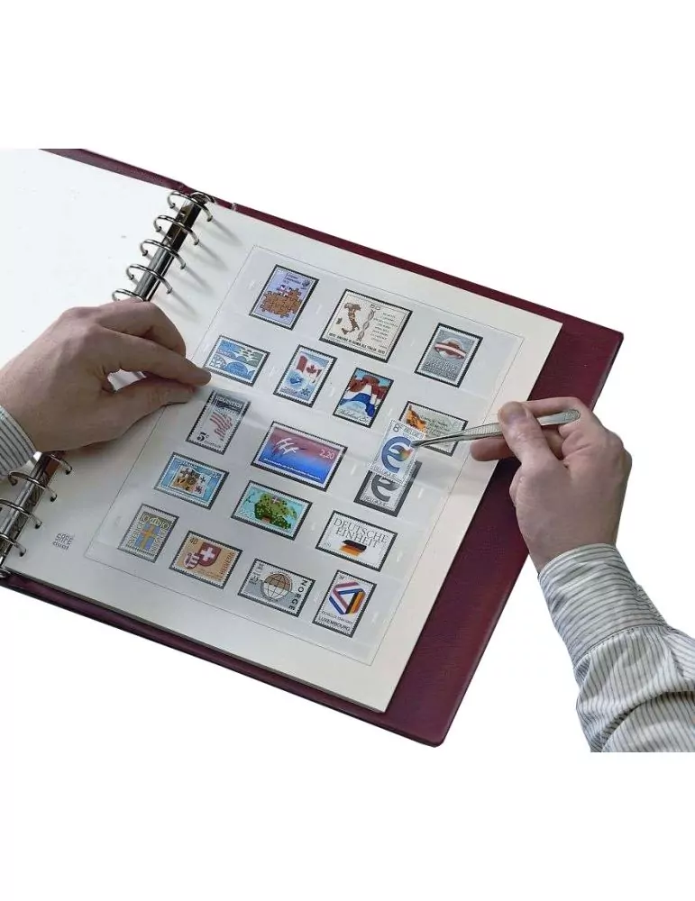 FRANCE SAFE DUAL : 2008-2010 (2137-6) - SAFE®