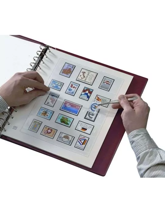 FRANCE SAFE DUAL (2137/081) : 2008 (1er SEMESTRE) - SAFE®