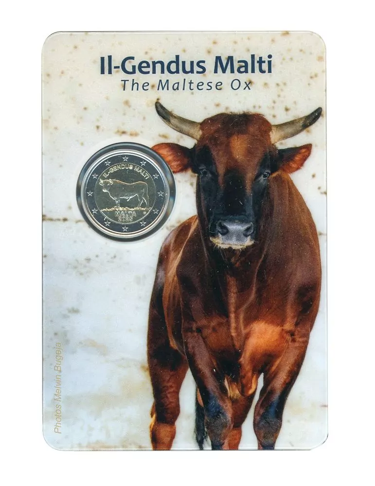 BU : 2 EURO COMMEMORATIVE 2025 : MALTE (Le Boeuf Maltais)