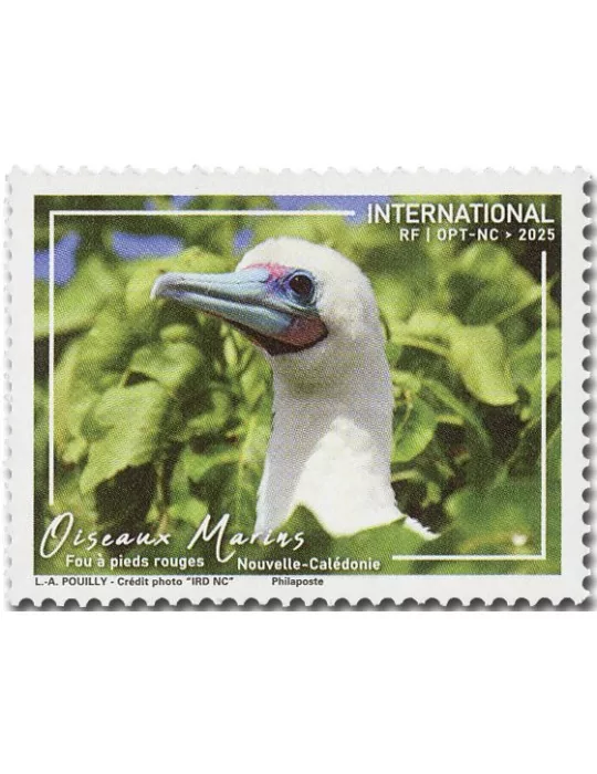 n° 1479 - Timbre Nelle Calédonie Poste