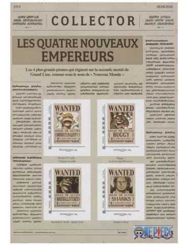 France : COLLECTOR ONE PIECE