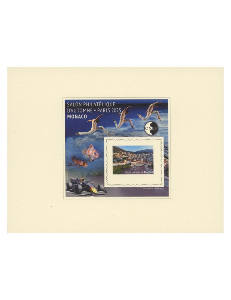 n° 102b - Timbre France CNEP (Epreuve de luxe)