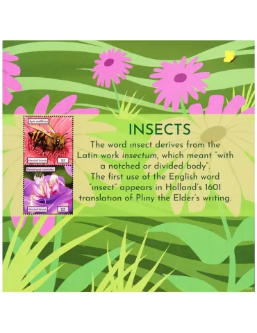 n° 170 - Timbre MARSHALL Blocs et feuillets