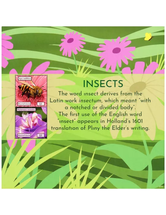 n° 170 - Timbre MARSHALL Blocs et feuillets