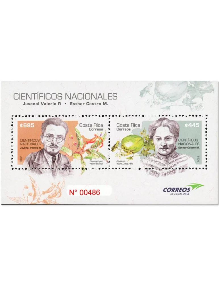 n° 94 - Timbre COSTA RICA Blocs et feuillets