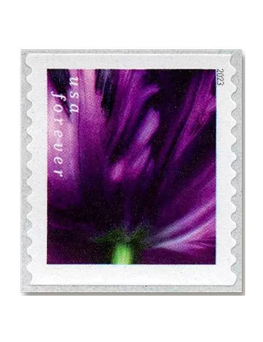 n° 5629a/5638a - Timbre ETATS-UNIS D´AMERIQUE Poste 2