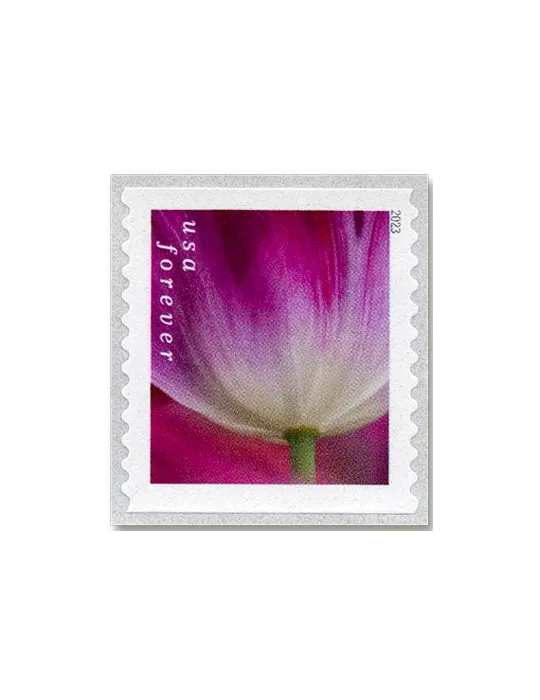 n° 5629a/5638a - Timbre ETATS-UNIS D´AMERIQUE Poste