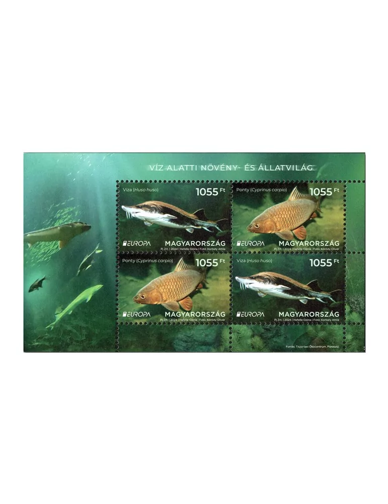 n° 492 - Timbre HONGRIE Blocs et feuillets