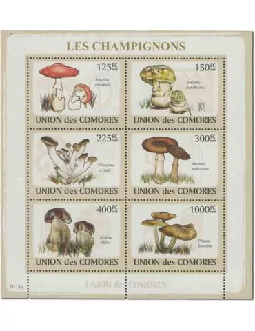 COMORES : Thématique( Champignons) 2