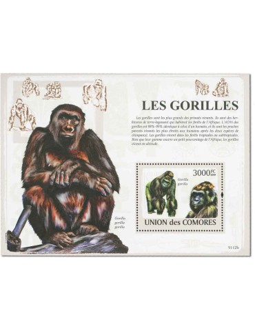 COMORES : Thématique (Les Gorilles) 2