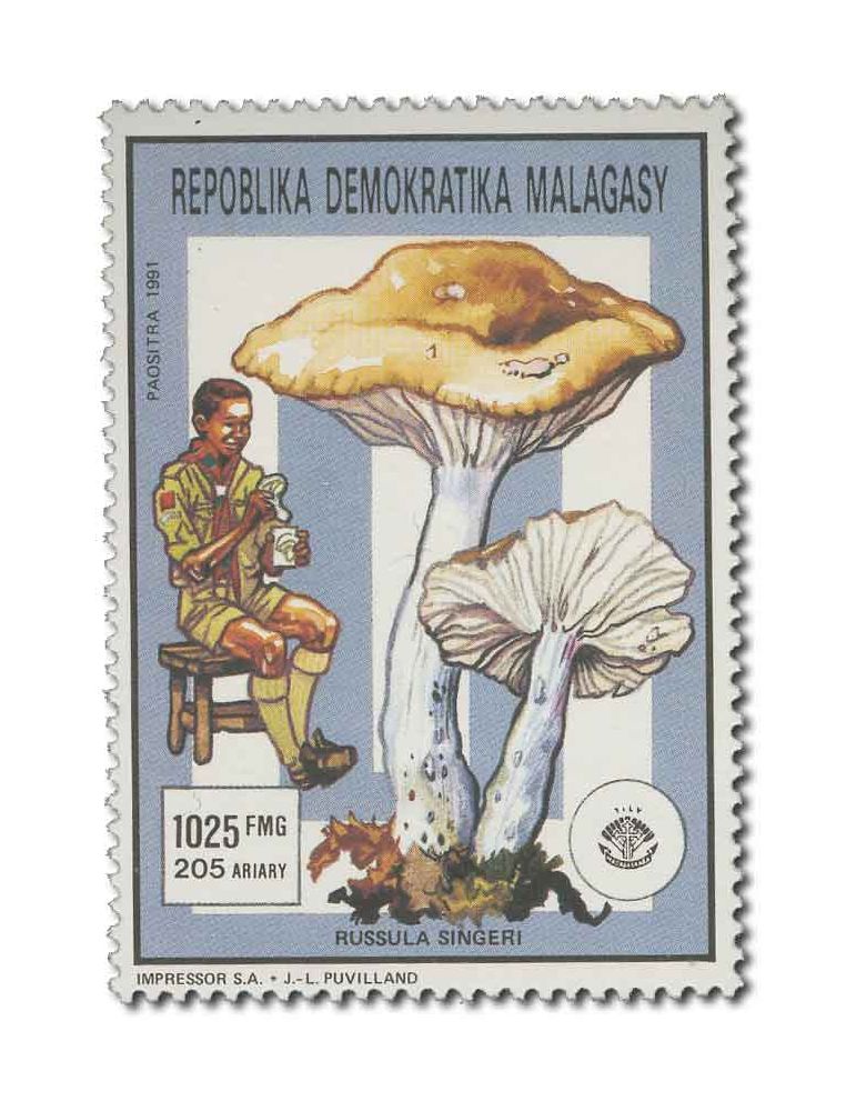 MADAGASCAR : Thématique( Insectes/Champignons)