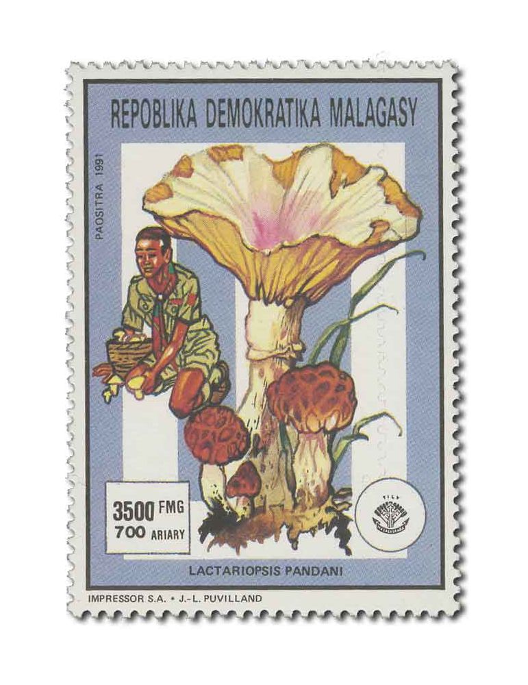 MADAGASCAR : Thématique( Insectes/Champignons)