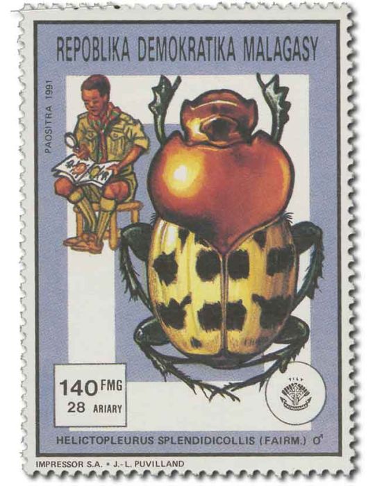 MADAGASCAR : Thématique( Insectes/Champignons)