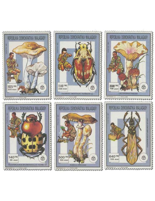 MADAGASCAR : Thématique( Insectes/Champignons)