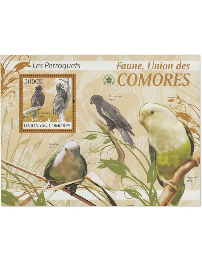 COMORES : Thématique (Les Perroquets)