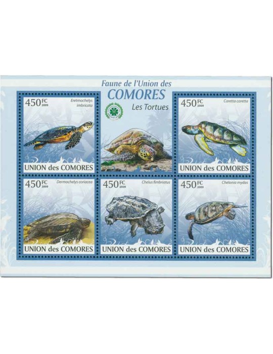 COMORE : Thématique (Les Tortues)
