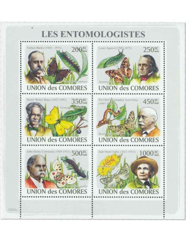 COMORES : Thématique (Les Entomologistes) 2