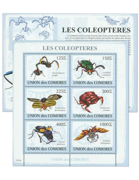 COMORES : Thématique (Les Coléoptères)