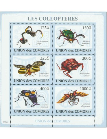 COMORES : Thématique (Les Coléoptères) 2