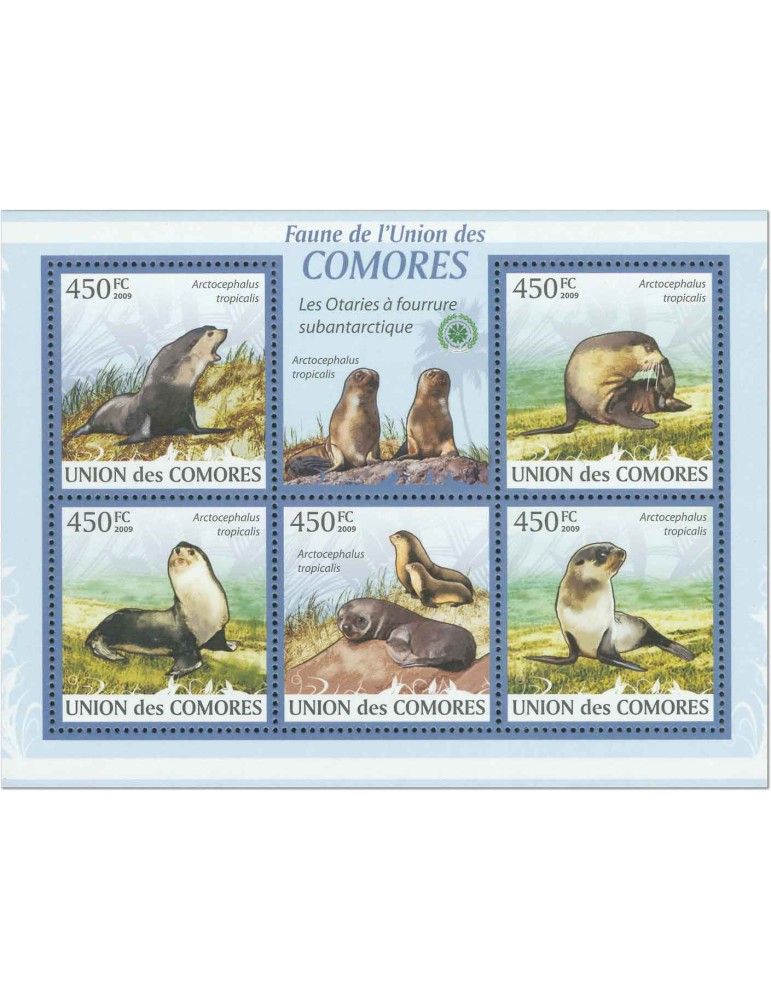 COMORES : Thématique (Les Otaries)