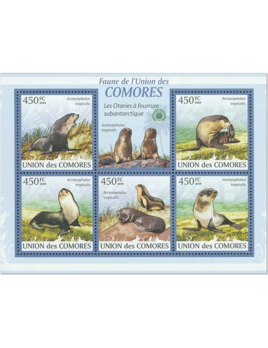 COMORES : Thématique (Les Otaries)
