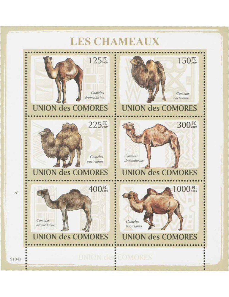 COMORES : Thématique (Les Chameaux)