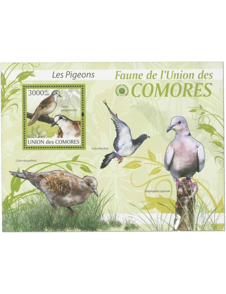 COMORES : Thématique (Les Pigeons)