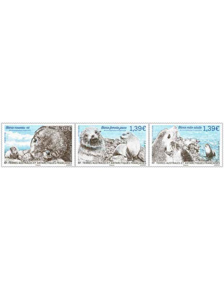 n° 1148/1150 - Timbre TAAF Poste (TRIPTYQUE OTARIE AUX 3 AGES)