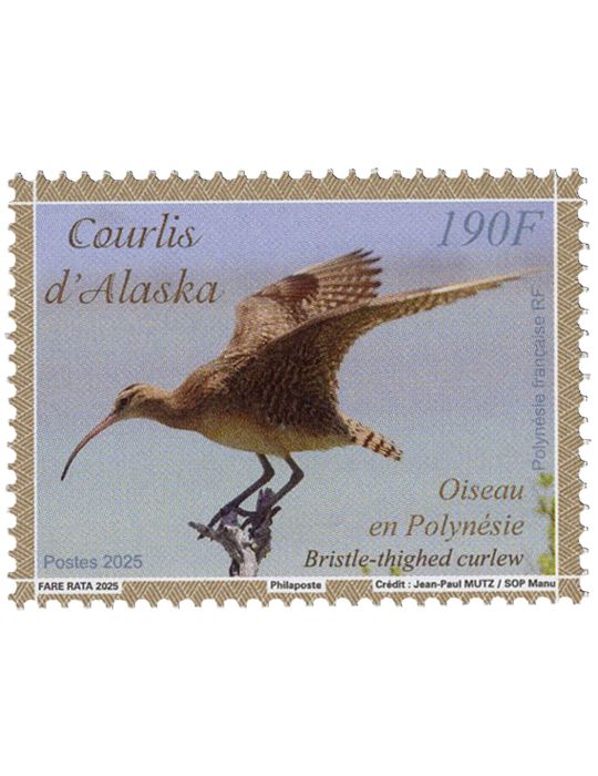 n° 1376 - Timbre POLYNESIE Poste (OISEAU EN POYNESIE COURLIS D'ALASKA - 13 25 204)